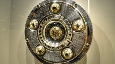 Bundesliga 390x220