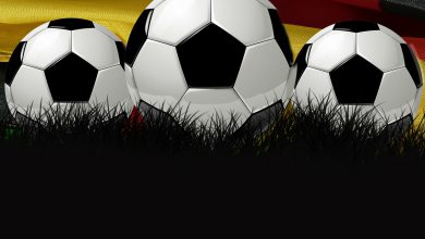 Weltmeisterschaft 390x220